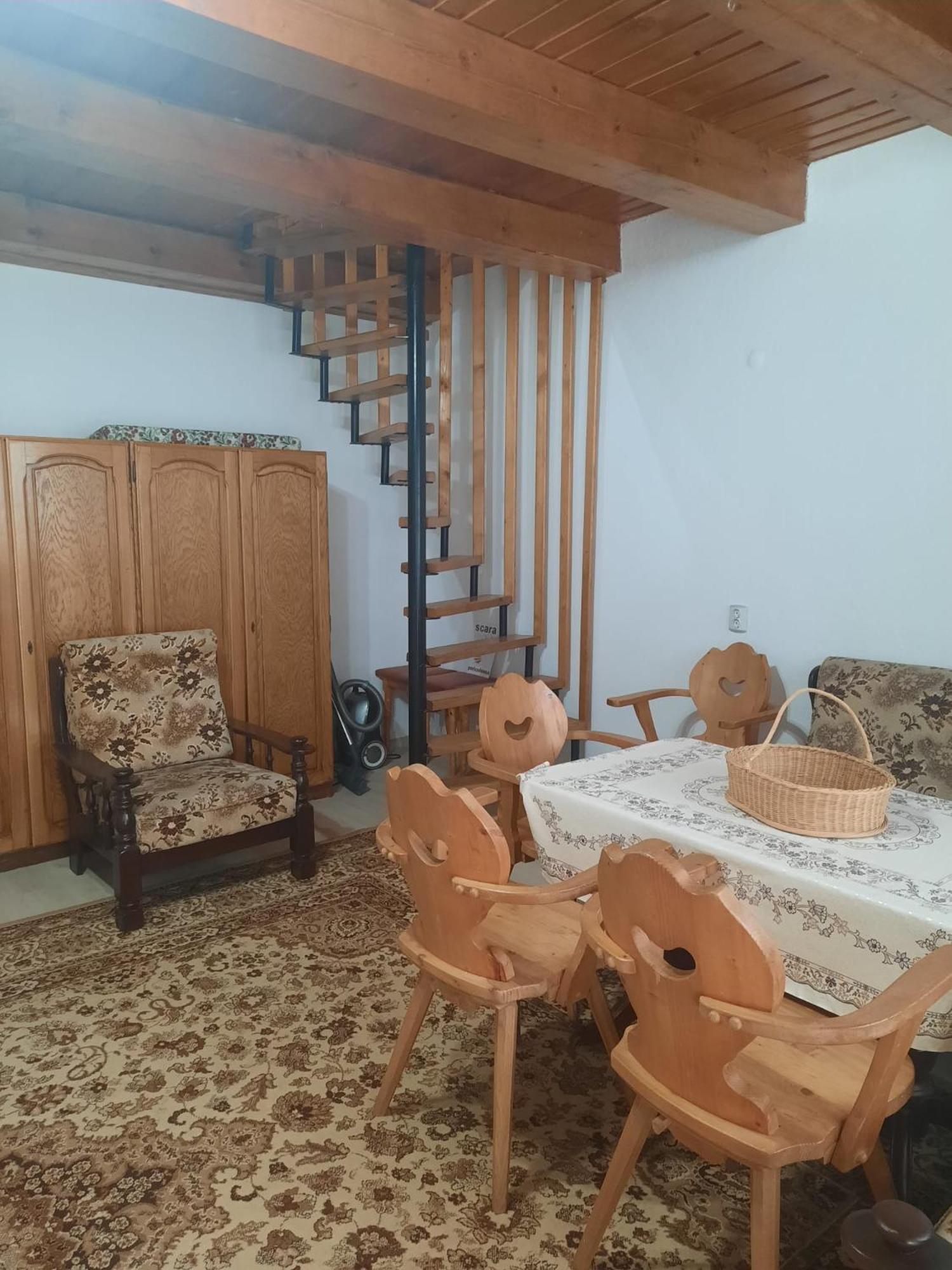 Cabanuta Dan & Alex Βίλα Cîrţişoara Εξωτερικό φωτογραφία